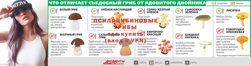 купить наркоту  omg вход  Галлюциногенные грибы мухоморы  Бикин 